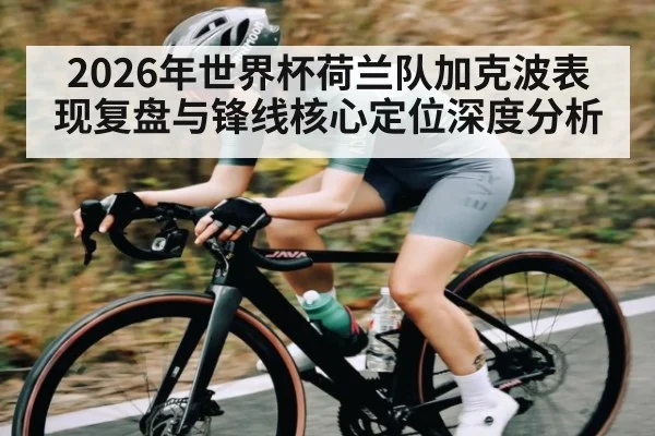 2026年世界杯荷兰队加克波表现复盘与锋线核心定位深度分析